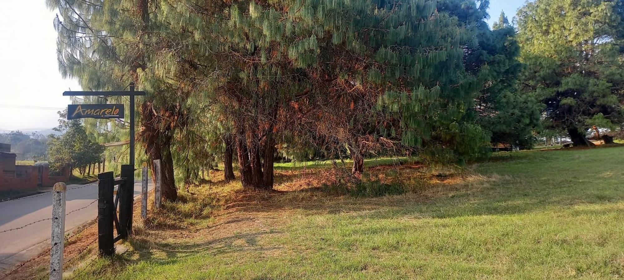 Chalets Amarelo Suesca Dış mekan fotoğraf