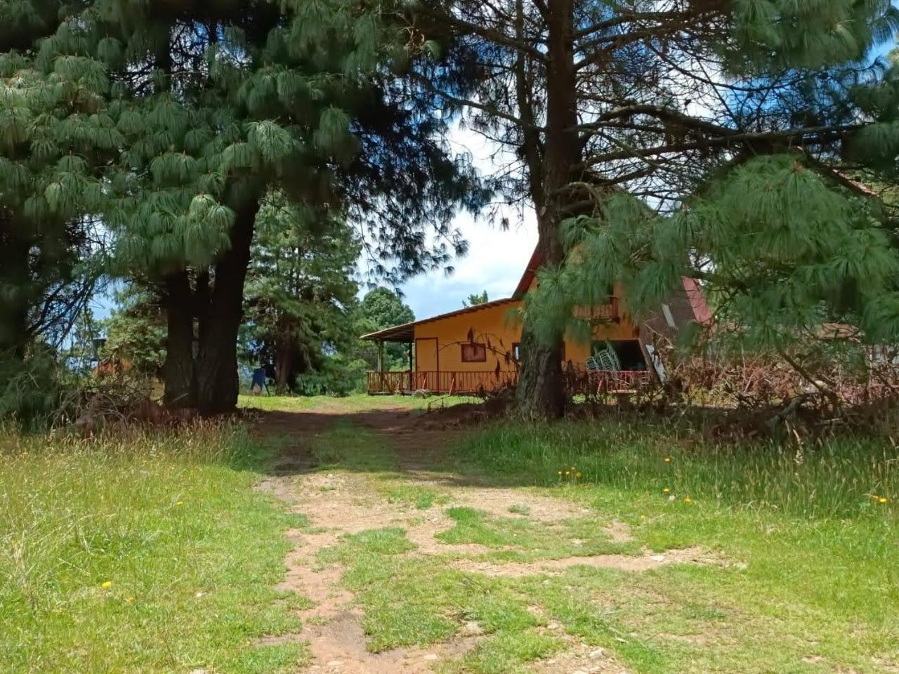 Chalets Amarelo Suesca Dış mekan fotoğraf